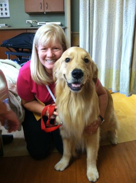 Sam Pet Therapy dog