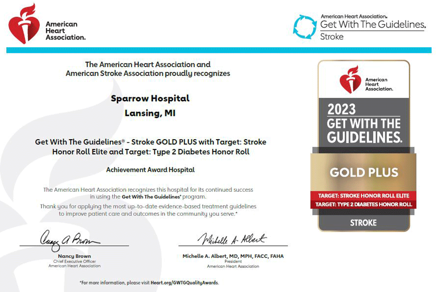 AHA 2023 Stroke Gold Plus Award AHA 2023 Stroke Gold Plus Award