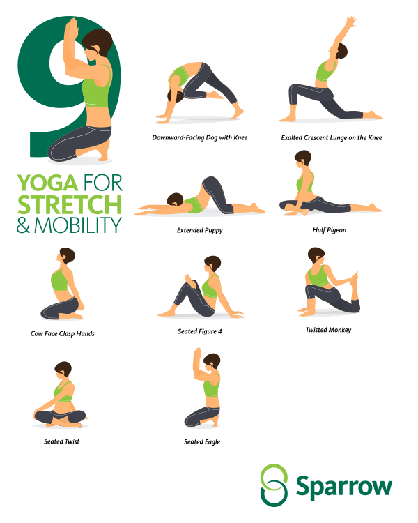 Yoga for Stretch & Mobility, Q1 Email Newsletter Yoga for Stretch & Mobility, Q1 Email Newsletter