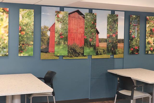 Sparrow Clinton Cafeteria Barn Wall - Teaser Sparrow Clinton Cafeteria Barn Wall