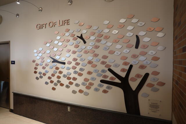 Gift of Life Michigan adds 26 names to donor memorial tree